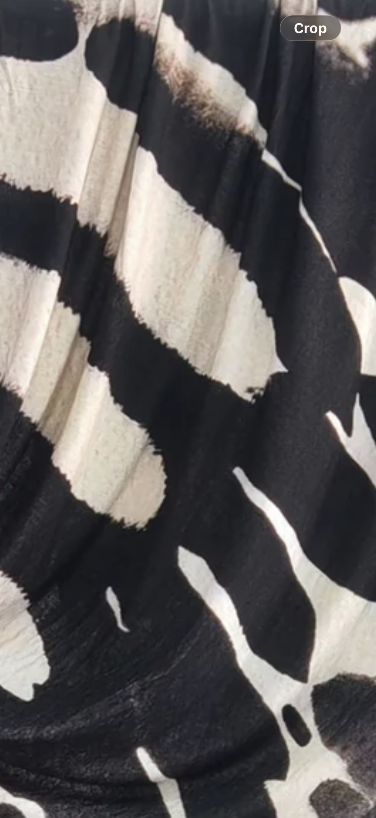 Ivory Noir Jersey Hijab